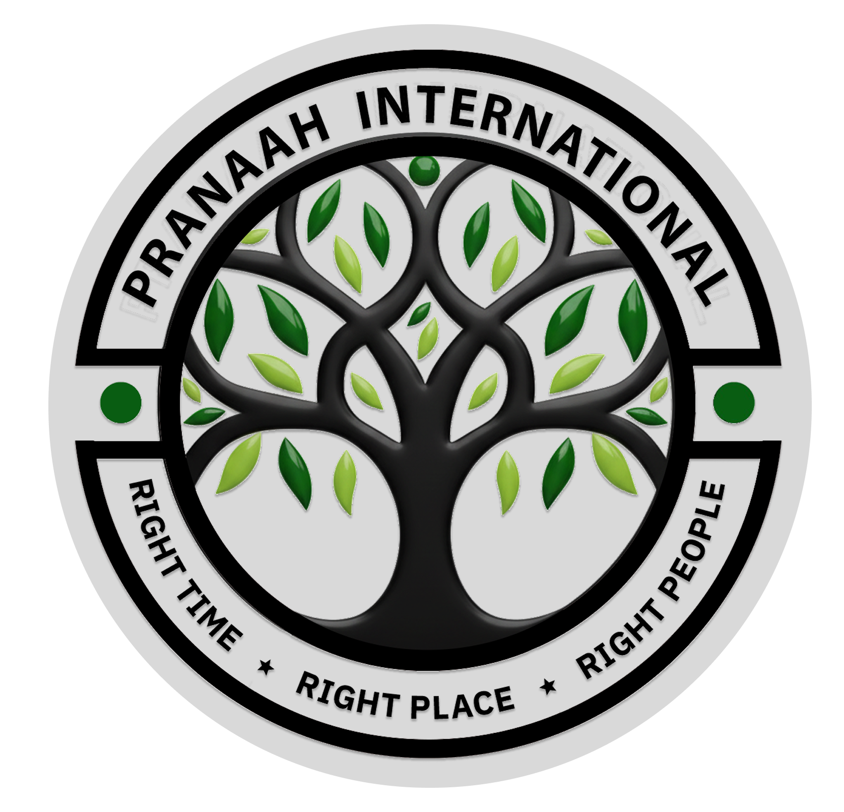 Pranaah International Logo