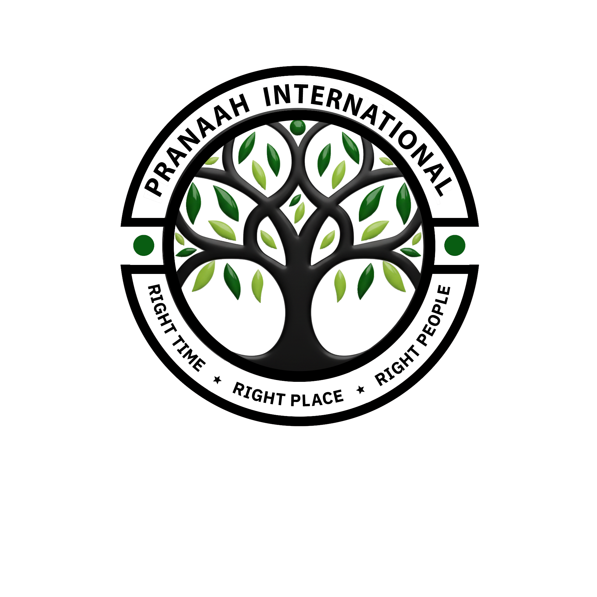 Pranaah International Logo